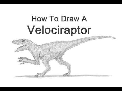 How to Draw a Velociraptor