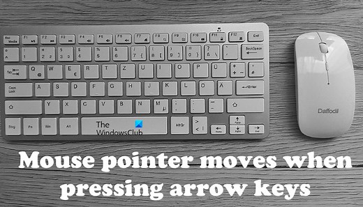 Mouse pointer moves when pressing arrow keys [Fixed]
