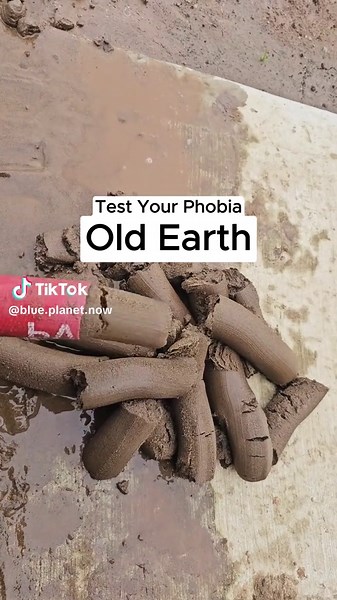 Explore the Old Earth Phobia Test Experience