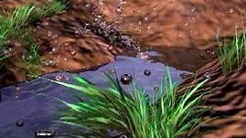 Water Cycle Animation | PBS LearningMedia