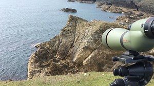 A #Kowa TSN-884 spotting scope, TE-11WZ eyepiece at 60x, TSN-EX16 1.6x extender giving a total of 96x magnification plus an iPhone and Kowa smartphone adapter - this is what you get! '#kowascoping #kowaoptics | Kowa Sporting Optics