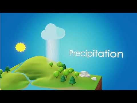 How does the water cycle move water around the earth?