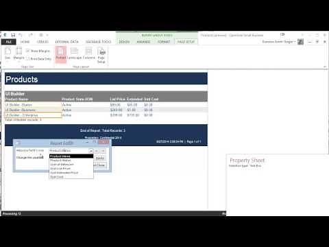 Report Builder for MS Access Tutorial