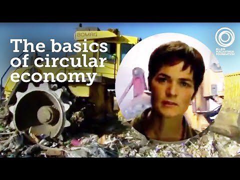 Circular Economy Explained: What Is It & Why Is It Important?