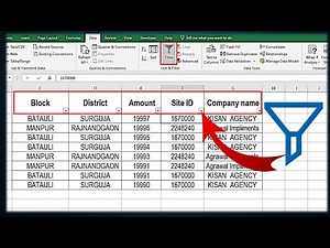 How to Use Filters in Excel 📊 | Organize & Analyze Your Data Easily!