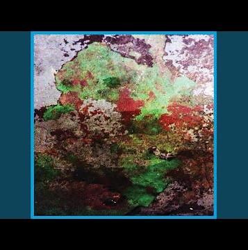 Liquid Squid Tapping