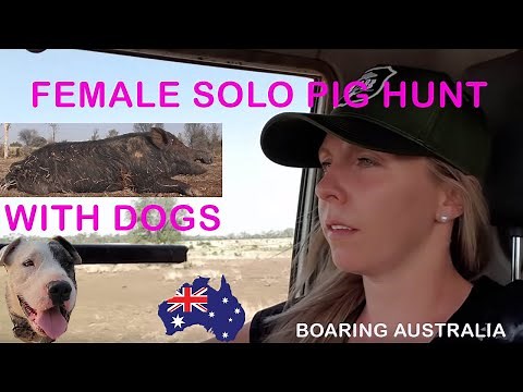 Pig Hunting Australia, Female Solo hunting Wild Boar lots of action