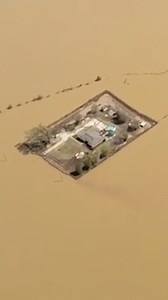 3.6M views · 39K reactions | Aerial footage shows home in the northwestern Tennessee town of Ridgely appearing like an island amid a sea of brown floodwaters. The property was protected by levees the family had constructed, preserving their home as the area around them was recently devastated. | FOX Weather | Facebook