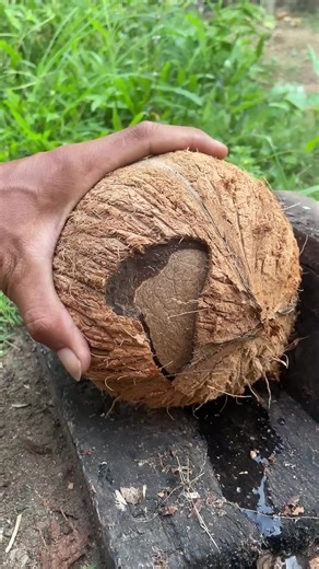 #asmrcoconut #coconutcutting #cuttingskills #explorepage #viralshort | coconut