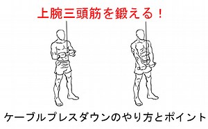 【上腕三頭筋の筋トレ】ケーブルプレスダウンの正しいやり方と注意点！
