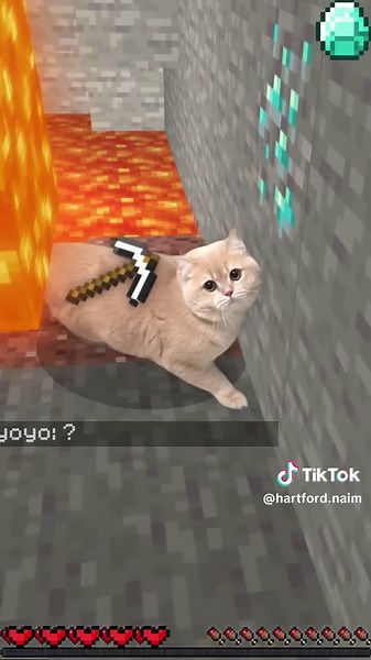 Hilarious Minecraft Kitten Collection for Cat Lovers