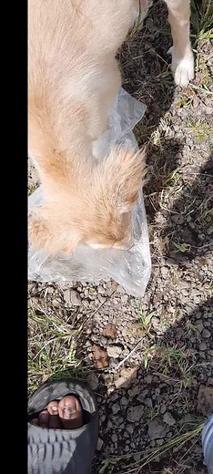 Romantic (@mrromantic27_4)’s videos with son original - Romantic