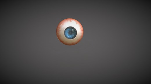 Human Eye - Download Free 3D model by DEGUIDER