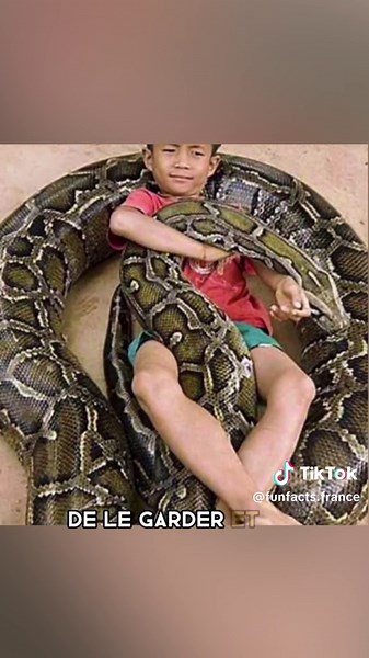 Le Terrifiant Secret du Python de Samba