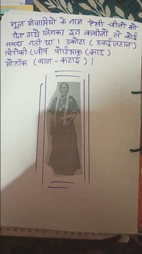 class 11 th history project file