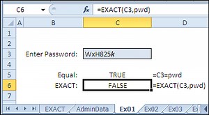 Compare Cells with Excel EXACT Function Examples