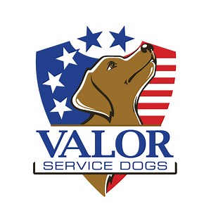 Volunteer — Valor Service Dogs