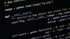 Introduction To Python Basics