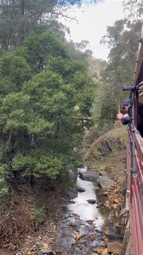 🌿 A glimpse of the beautiful view from our train ride!🚂✨ Sit back, relax, and take in the stunning scenery as you travel through the Walhalla valley. Trains run Saturday and Sunday at 10am, 12pm, and 1.30pm — the perfect weekend outing! 🎟️ Book online: [www.walhallarail.com.au] #WalhallaGoldfieldsRailway #VisitWalhalla #Gippsland #HeritageRailway #WeekendAdventure #TrainRide | Walhalla Goldfields Railway