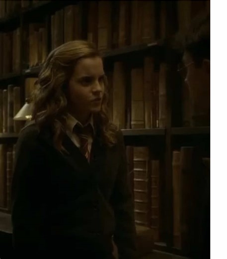 The Chosen One: Harry Potter's Legacy