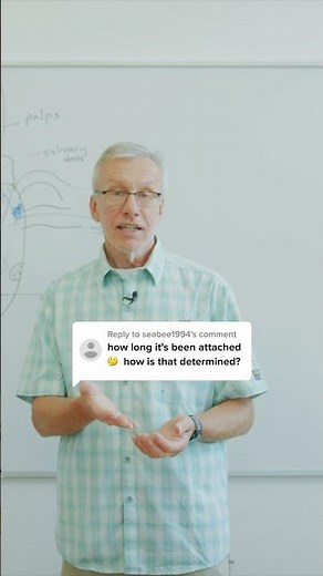 How do you know how long a tick has been attached? Tick Expert Advice