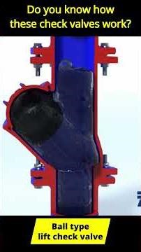 DO you know how check valve works