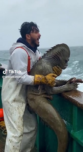 Strange-Shaped Ocean Predator Discovered by Scientists