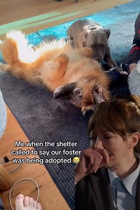 6.4K views · 1.2K reactions | Floppy was adopted! We are so happy...