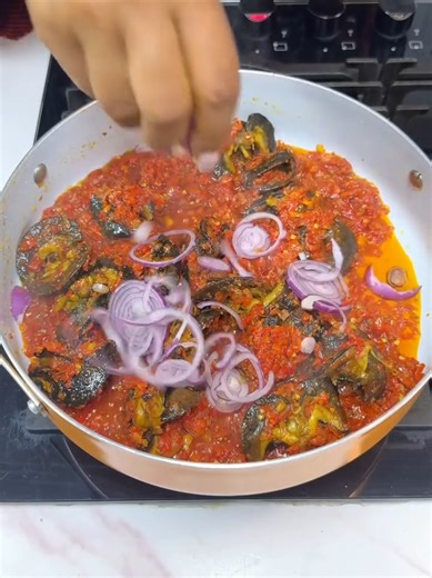 How to Clean Your Snail Properly for a Healthy Pet