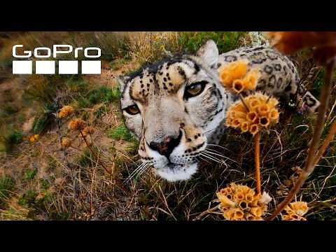 Top 10 GoPro MAX Moments | Best of 360