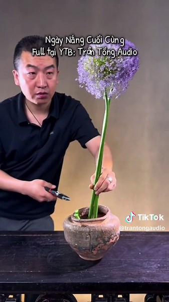 Ngày Nắng Cuối Cùng - Audio Buồn Trọn Vẹn