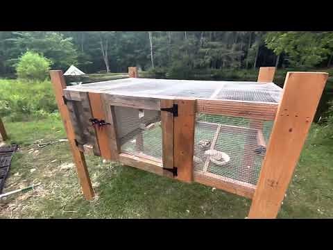 Easy Quail Pen Using Pallets | How to Make a Quail Coop Using Pallets | Quails for Egg